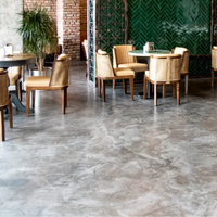Microcement, decorative plaster for walls and floors Granito Diamond (gray) 20 kg