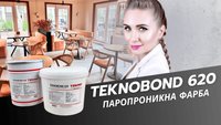 Teknobond 120 water-based epoxy primer before applying finish coatings
