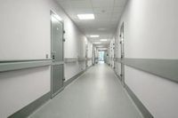 Захисний відбійник-дошка для внутрішнього оздоблення медичних центрів WG 201 (Туреччина), кратно 4 м.п. WG201LG фото 6
