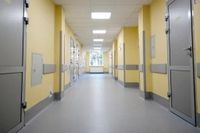 Захисний відбійник-дошка для внутрішнього оздоблення медичних центрів WG 201 (Туреччина), кратно 4 м.п. WG201LG фото 5