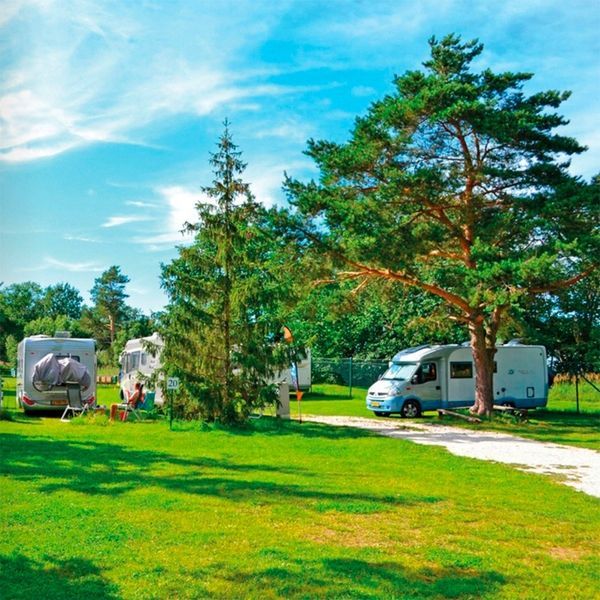 Георешітка Inovgreen IP 40 58x39x4 см Газонна та паркувальна решітка 0306 фото